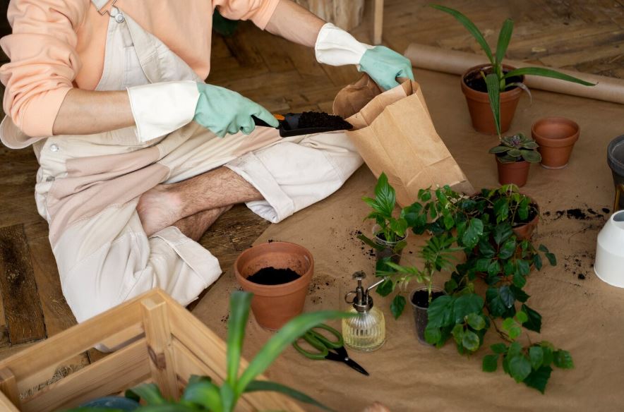 Regenerative Gardening Kit