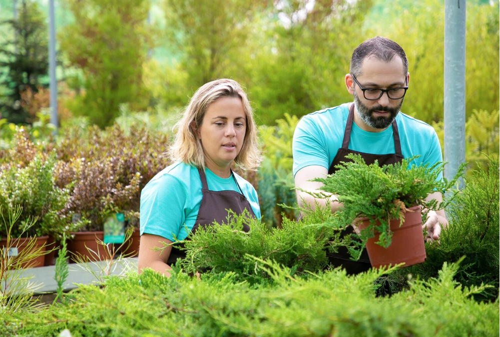 landscape grading contractors