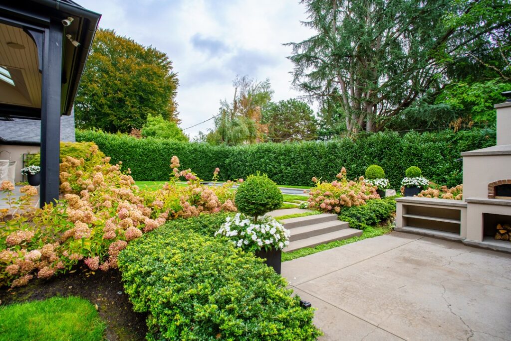 Boxwood Landscape 