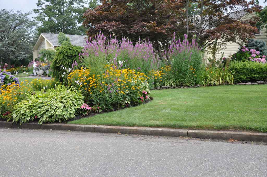How Much Does Landscaping Cost How Much Does Landscaping Cost