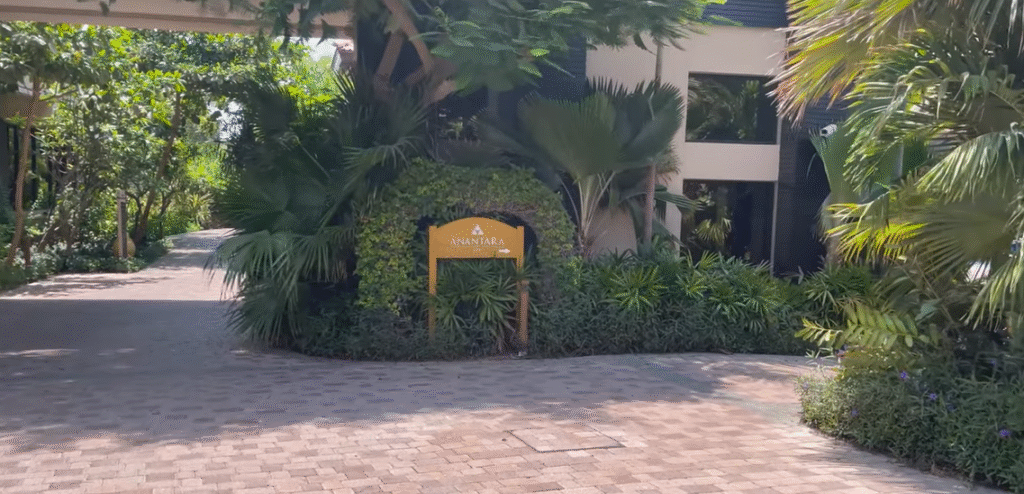 Landscaping in Dubai Landscaping in Dubai