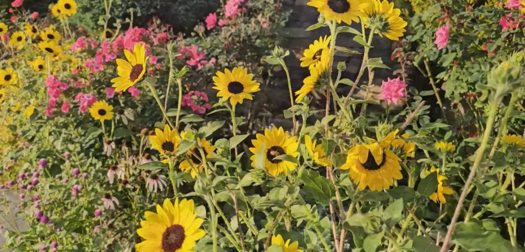 How to Find Ecommerce Product Ideas in Landscaping and Gardening Niche