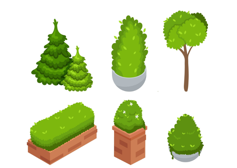 Evergreen Bushes for Landscaping