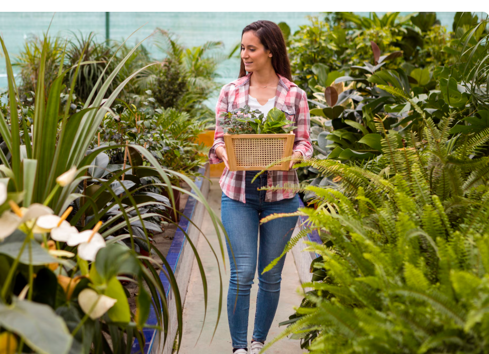 Palm Coast Native Landscaping Companies 